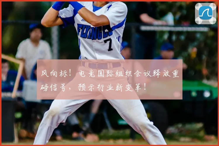 风向标！电竞国际组织会议释放重磅信号，预示行业新变革！